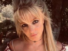 Britney Spears once again puzzled fans with a strange dance in a revealing outfit