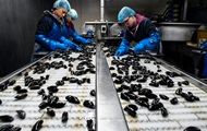 Experts have named occupations with the highest risk of death from coronavirus