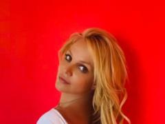 Britney Spears  ex-husband arrested in the USA