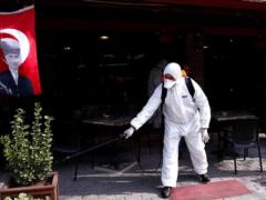 Турция обнаружила первые случаи  африканского  и  бразильского  штаммов вируса