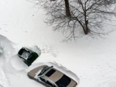 Харьковчан просят не парковать машины на улицах в случае снегопада