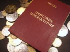 Кабмин до конца февраля примет решение об индексации песий