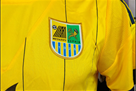 Yaroslavsky proposed to revive Metalist