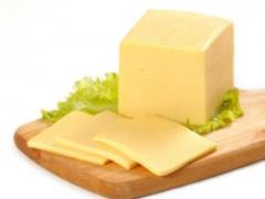 Swedish scientist is working to create the perfect milk for vegan cheese