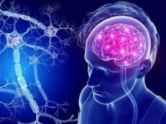 Autonomy of the autonomic nervous system. Part 1