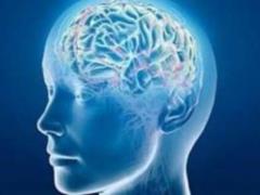 Симпатическая нервная система. Часть 2