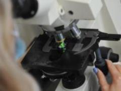 Ученые из Британии создали тест для определения болезни Паркинсона