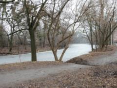On New Bavaria in Kharkov, they decided to equip a recreation area