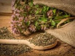 The secret of longevity was found in the popular seasoning