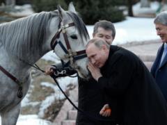 Путин вспомнил, как упал с лошади