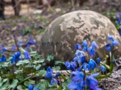 In the Kharkiv region in the next day the weather will not change significantly