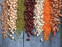 Scientists have named a powerful source of iron and amino acids
