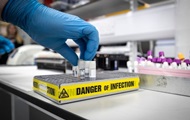 New mutations of coronavirus appeared in France and Israel