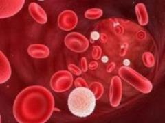 Cranberry Juice May Become New Against Antibiotic-Resistant Bacteria