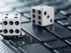 Кабмин утвердил Лицензионные условия проведения азартных игр