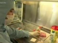 Low Calorie Diet Improves Survival in Young People with Leukemia