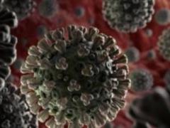В США нашли штамм коронавируса с двойной мутацией