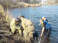 В Харькове сотрудники ГСЧС спасли 55-летнюю женщину, которая тонула в сточных водах