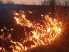За прошлую неделю харьковские спасатели 290 раз выезжали на пожары в экосистемах