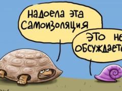 Штрафовать за нарушение режима самоизоляции не будут