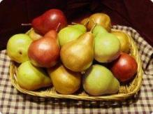 Nerves strengthen pears