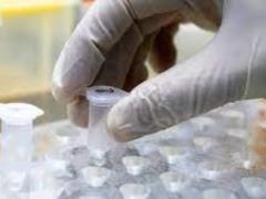 Coronavirus-resistant genes found in the human body