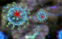 How COVID-19 infection breaks through the  
