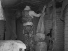 Донецкое направление: в окрестностях слышен огонь ствольной артиллерии