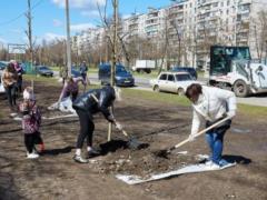 В Харькове на месте парковки высадили клёны