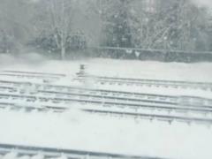 Несколько области Украины засыпало снегом