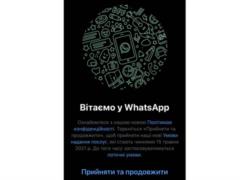 Принятие новых условий конфиденциальности WhatsApp станет обязательным для пользователей мессенджера