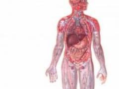 Pathological condition of the mesenchyme