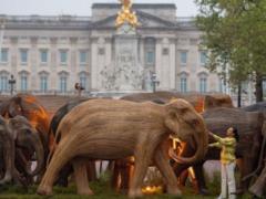 125 wooden elephants installed at Buckingham Palace