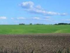 The Verkhovna Rada approved the sale of land plots through electronic auctions