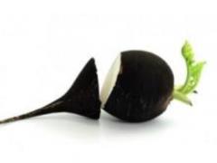 Why you need to add radish to your diet