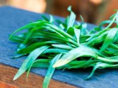 Tarragon in cosmetology and cooking