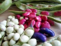 Названы продукты, способствующие похудению