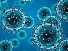 Вирусолог Хотез объяснил важность поиска истоков COVID-19