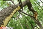 Весна  прощалась бурно