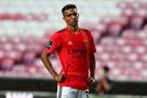 Agent Pedrinho confirmed the player s transfer to Shakhtar