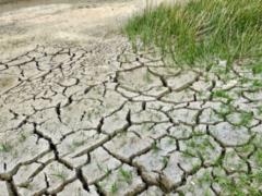 В оккупированном Крыму еще больше обмелели водохранилища