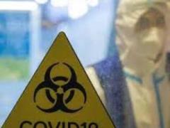 Coronavirus incubation period shortened