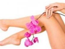 Ringworm: causes of the disease