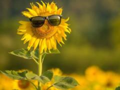 Heat will drop a bit in Ukraine at the weekend
