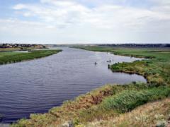 Since the beginning of the year, 29 people drowned on the reservoirs of Nikolayevshchina