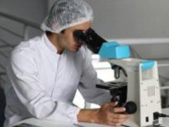 Биологи из Японии создали вакцину от холеры из рисовой муки