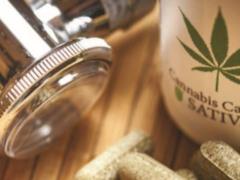 The Verkhovna Rada s profile committee supported the bill on the legalization of medical cannabis
