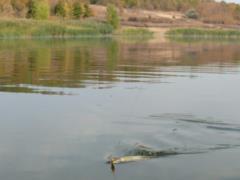 Под Харьковом со дна водоема достали тело рыбака