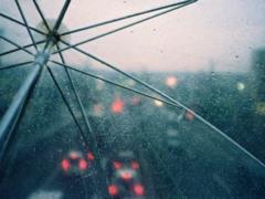 На выходных в Харькове - до 32 градусов тепла и дождь