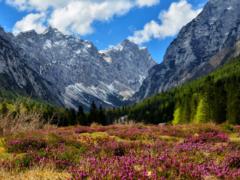 Две женщины замерзли насмерть в Альпах